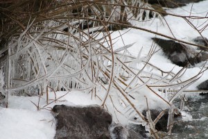 winter bij Ventis